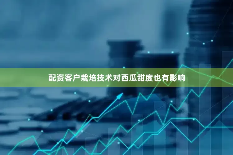 配资客户栽培技术对西瓜甜度也有影响