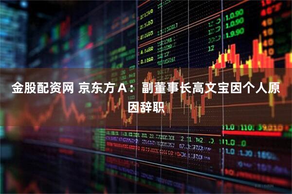 金股配资网 京东方Ａ：副董事长高文宝因个人原因辞职
