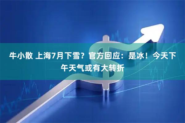 牛小散 上海7月下雪？官方回应：是冰！今天下午天气或有大转折